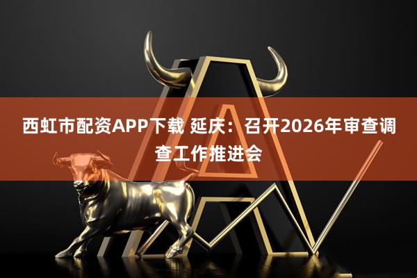 西虹市配资APP下载 延庆：召开2026年审查调查工作推进会