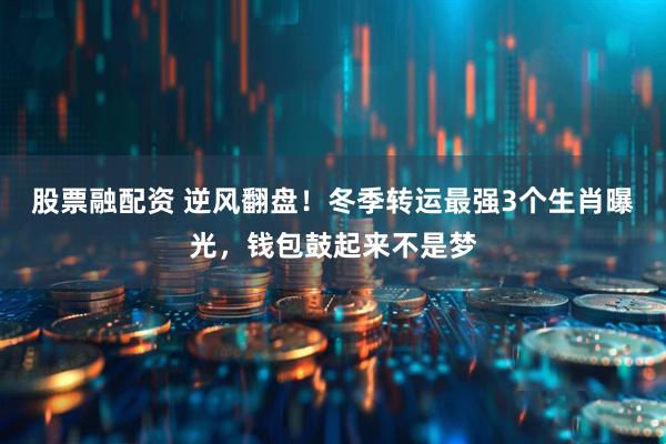 股票融配资 逆风翻盘！冬季转运最强3个生肖曝光，钱包鼓起来不是梦