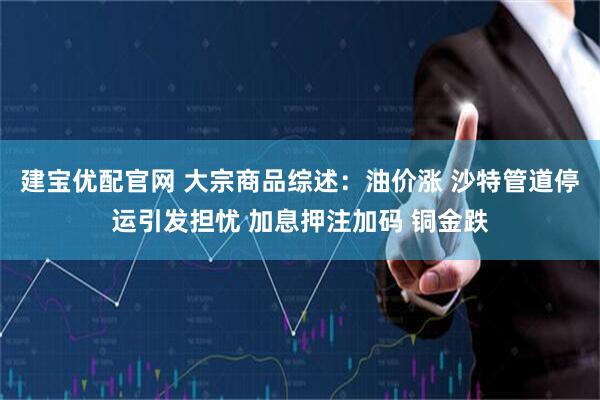 建宝优配官网 大宗商品综述：油价涨 沙特管道停运引发担忧 加息押注加码 铜金跌